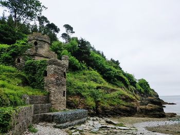 Plants growing on rocks against sky