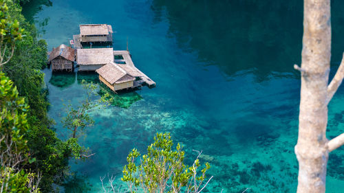 High angle view of lake against trees