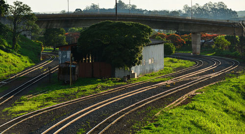 Railroad tracks by trees against sky