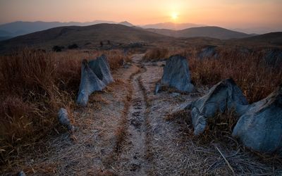 Scenic view of field against sky during sunset