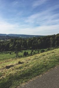 Scenic view of landscape against sky