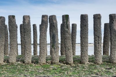 Wooden posts on field against sky