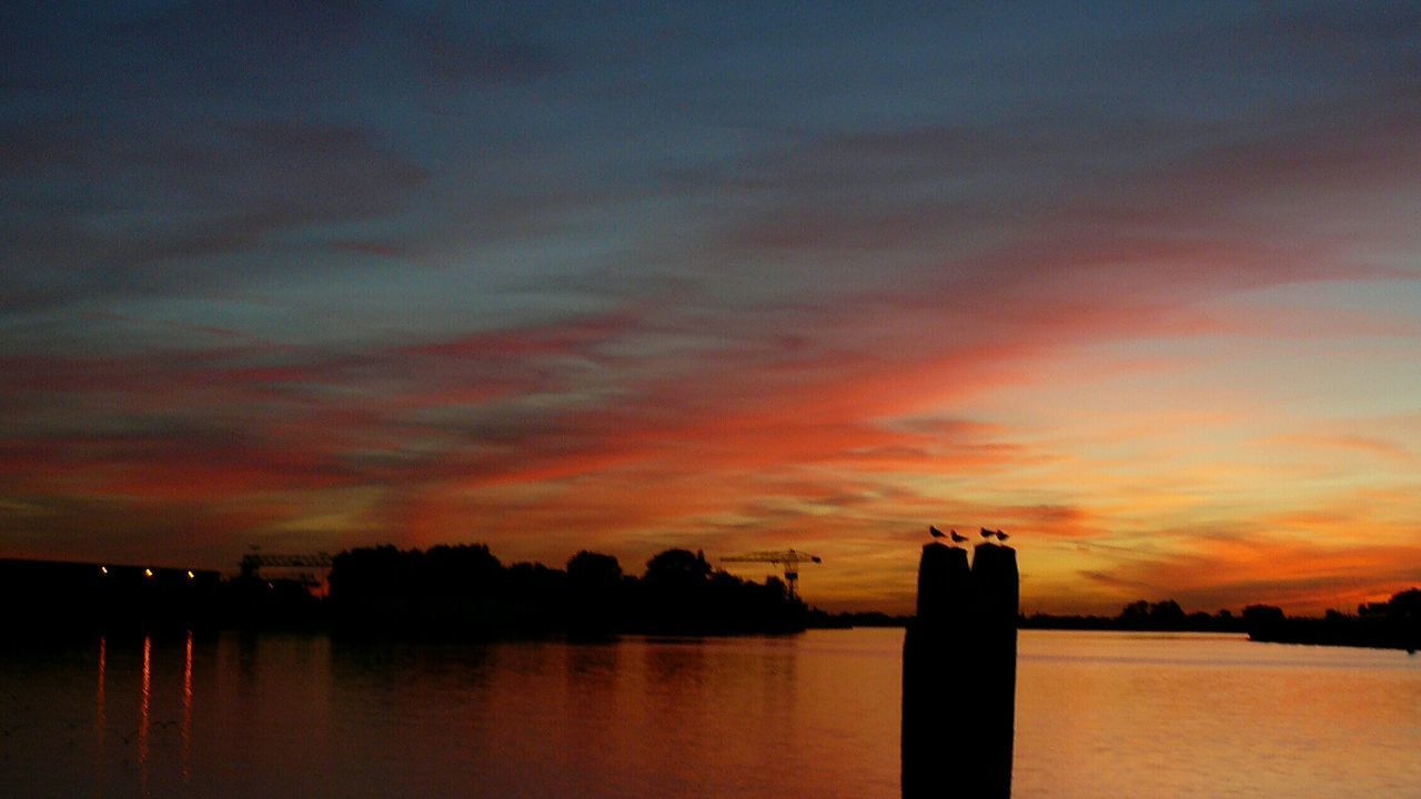 SILHOUETTE TREES BY LAKE AGAINST SKY DURING SUNSET