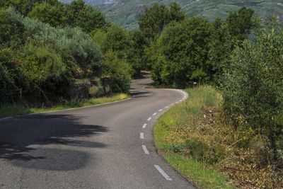 Road amidst trees and mountains