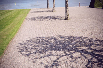 Shadow on grass