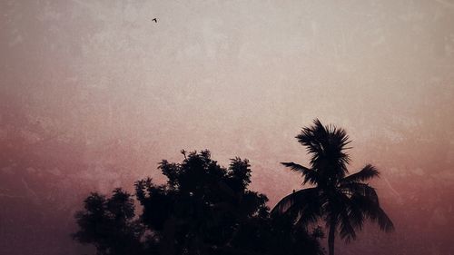 Silhouette trees against sky during sunset