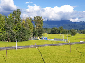 Scenic view of field against sky