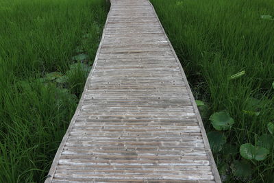 High angle view of boardwalk on field