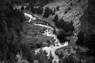 High angle view of river amidst trees in forest