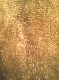 Full frame shot of sea