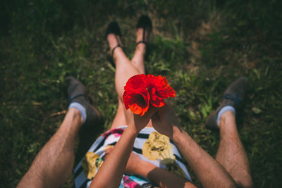 Low section of man and woman holding red flowers while sitting on field