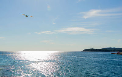 Birds flying over sea against sky