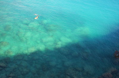 High angle view of man swimming in sea