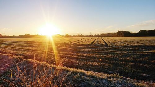 Scenic view of field against sky during sunset