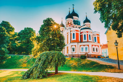 View of trees and building against sky