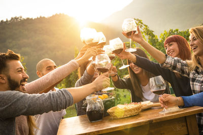 Friends toasting wineglasses during party