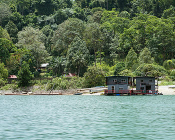 Scenic view of river in forest