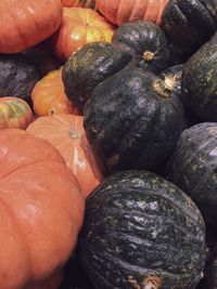 High angle view of pumpkins in market