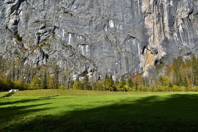 Scenic view of landscape