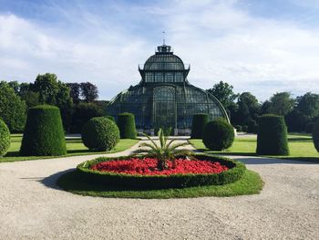 View of flowers in park