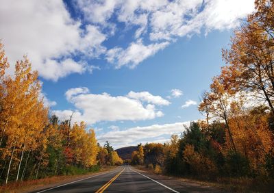 Empty road along trees during autumn