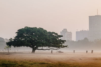 Scenic view of field against clear sky