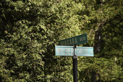 Road sign against trees