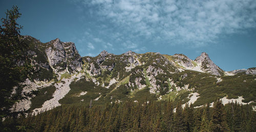 Plants growing on land against sky