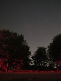 Trees on field against sky at night