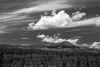 Scenic view of landscape against cloudy sky on sunny day