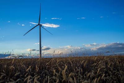 Wind turbines in the field