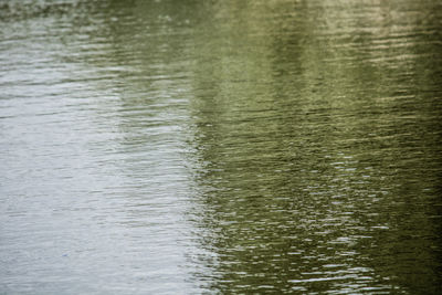 Full frame shot of rippled water