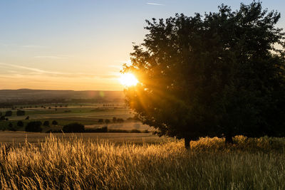 Scenic view of field against sky during sunset