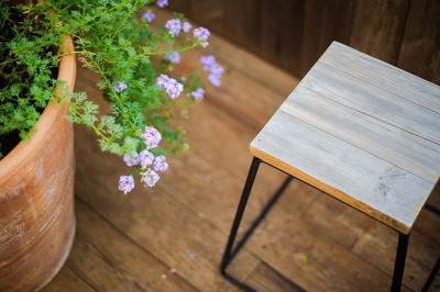 High angle view of flowering plant on table