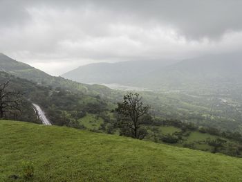 environment