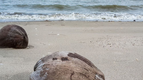 Rear view of man on beach