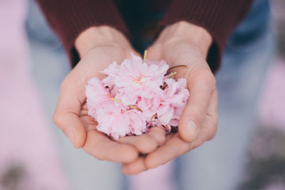 Close-up of hand holding pink flower