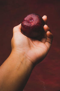 Close-up of hand holding strawberries