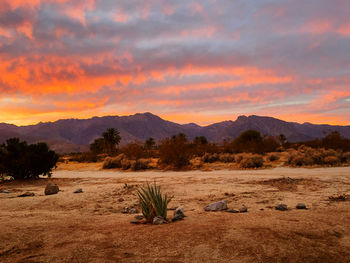 A fiery sunset over the mountains of anza-borrego desert state park.