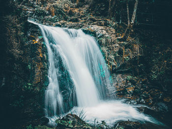 View of waterfall in forest