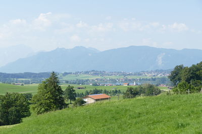 Scenic view of field against sky