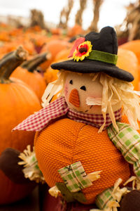 Close-up of pumpkin pumpkins