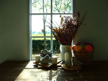 Potted plant on table by window at home