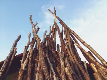 Low angle view of wood against sky