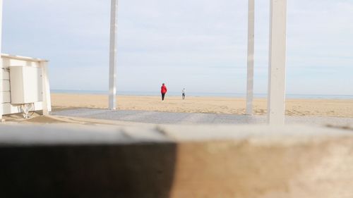 Rear view of people standing on beach