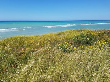 Scenic view of sea against clear blue sky