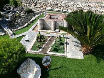 High angle view of plants in garden