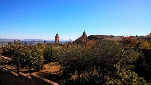 Panoramic view of trees and buildings against clear blue sky