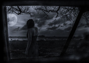 Rear view of woman looking at view