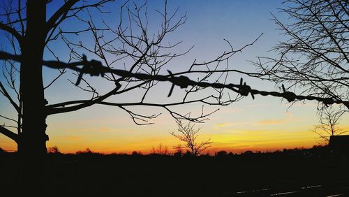 Silhouette trees against sky during sunset